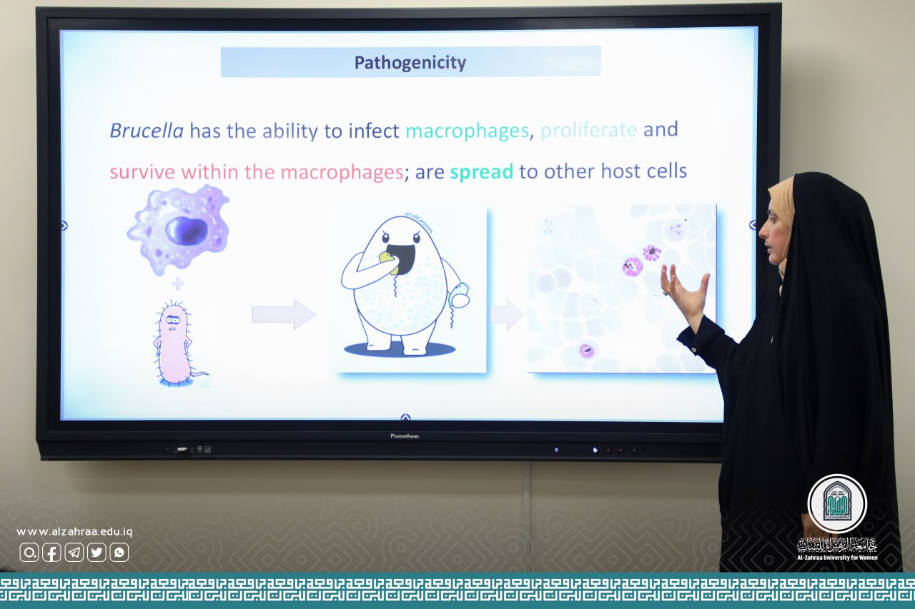 الحمى المالطية الأسباب, الأعراض, الوقاية, والعلاج